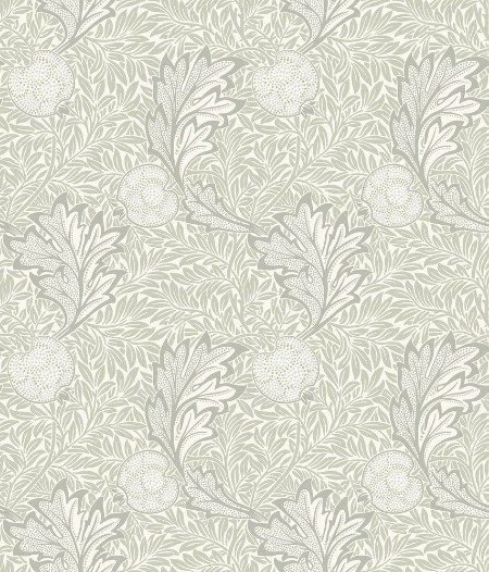 Afbeeldingen van Apple Silver Nettle - MOX0136-01